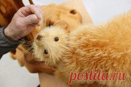 Мой Мир@Mail.Ru