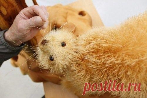 Мой Мир@Mail.Ru