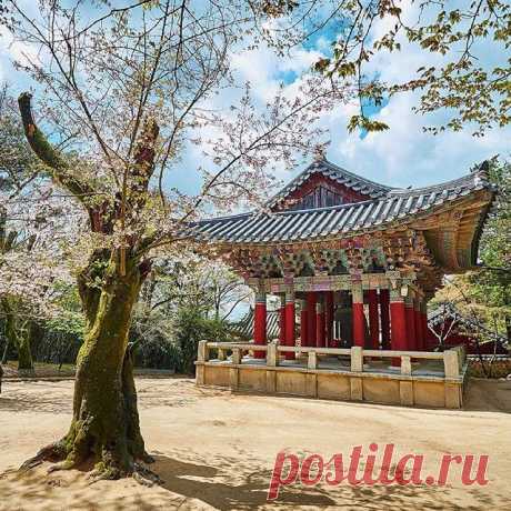 #pulguksa #temple #korea #southkorea #travel #travelphotography #landscape_specialist #exterior #daylight #landscape #ig_korea