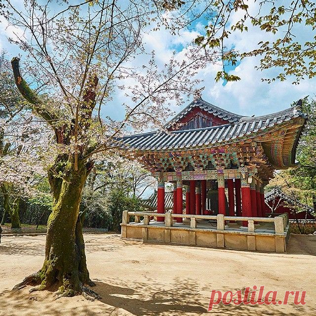 #pulguksa #temple #korea #southkorea #travel #travelphotography #landscape_specialist #exterior #daylight #landscape #ig_korea