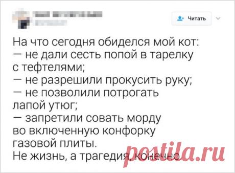 Маленьких обидеть может каждый.