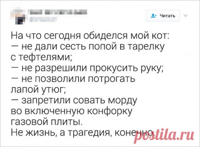 Маленьких обидеть может каждый.