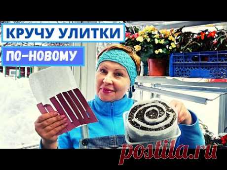 Кручу УЛИТКИ для рассады быстро и без лишней грязи #1