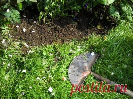 Огород без сорняков: боремся без химии | Антонов Сад | Яндекс Дзен