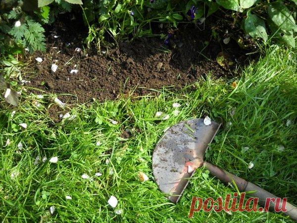 Огород без сорняков: боремся без химии | Антонов Сад | Яндекс Дзен