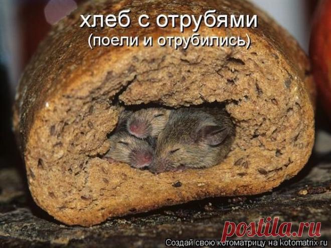 тайна - А ты сегодня улыбался? - Страна Мам