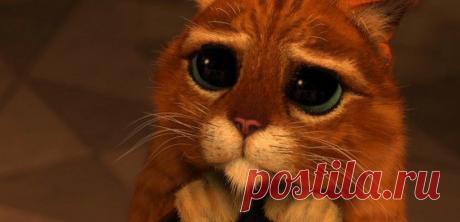 Как обратиться с просьбой, чтобы ее услышали - rastimul.com.ua