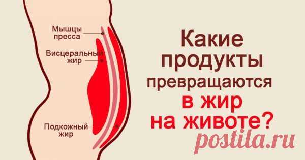 Пыталась похудеть несколько лет, всё напрасно. Но стоило исключить все эти продукты из рациона… — Копилочка полезных советов