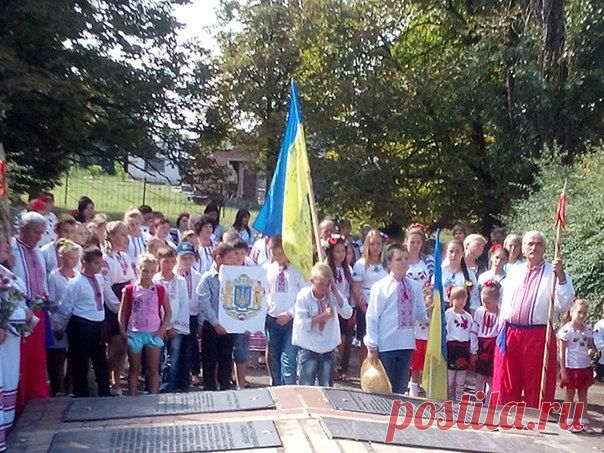 Новости