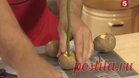 Как вырастить розу из черенка: "Проще простого!". лайфхак