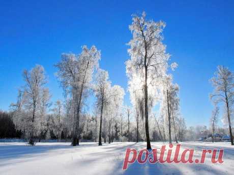 ФОТОМАСТЕРСКАЯ ПРИРОДЫ
Валентина Кобцева