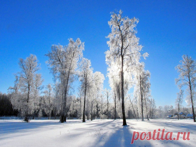 ФОТОМАСТЕРСКАЯ ПРИРОДЫ
Валентина Кобцева