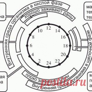 РЕКОМЕНДАЦИИ ДЛЯ УТРА, ВЕЧЕРА, ДНЯ И НОЧИ - МирТесен