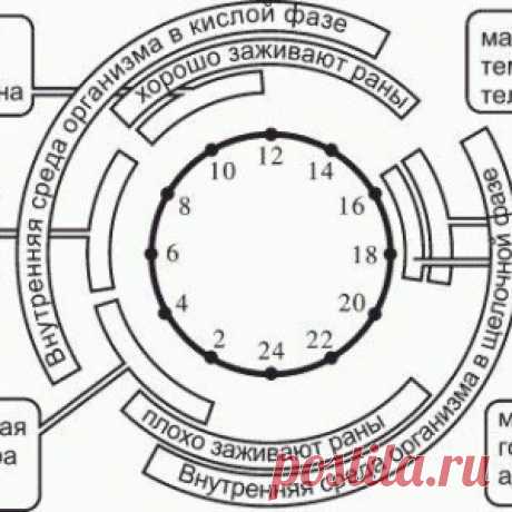 РЕКОМЕНДАЦИИ ДЛЯ УТРА, ВЕЧЕРА, ДНЯ И НОЧИ - МирТесен