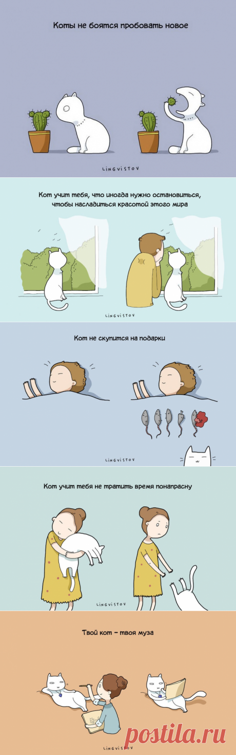 20 картинок о преимуществах жизни с котом