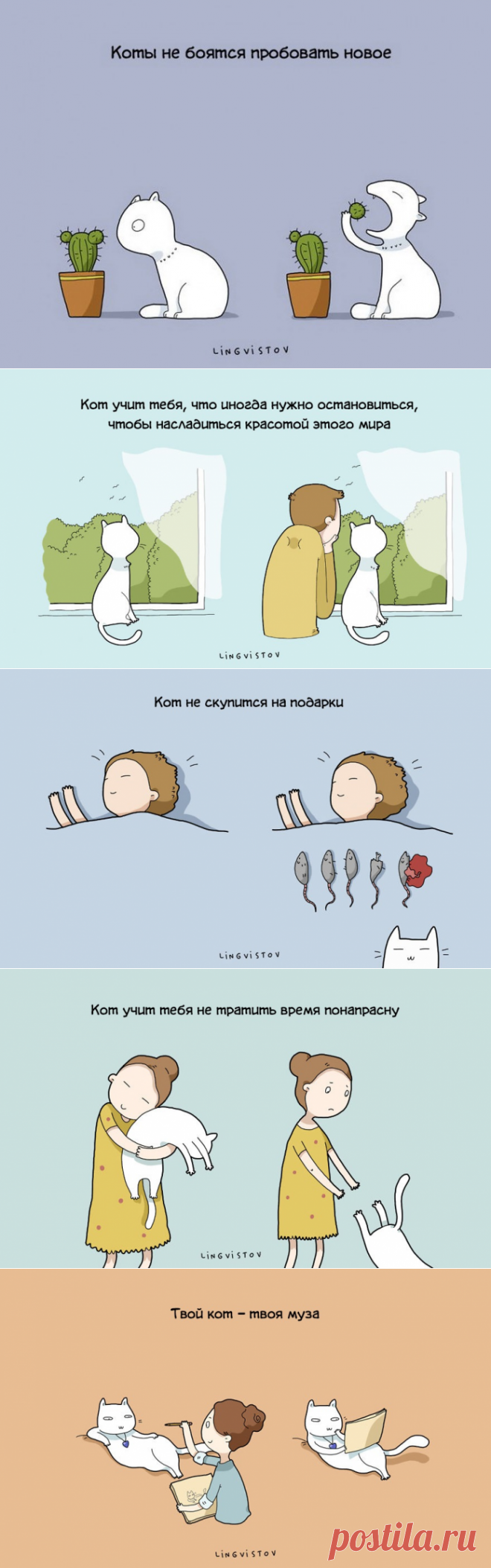 20 картинок о преимуществах жизни с котом