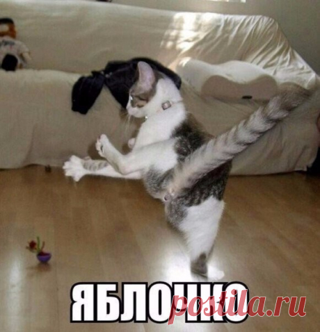 (3) Одноклассники