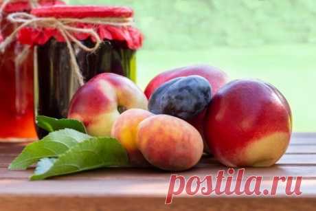 Варенье из нектарина и сливы — Домашняя кулинария