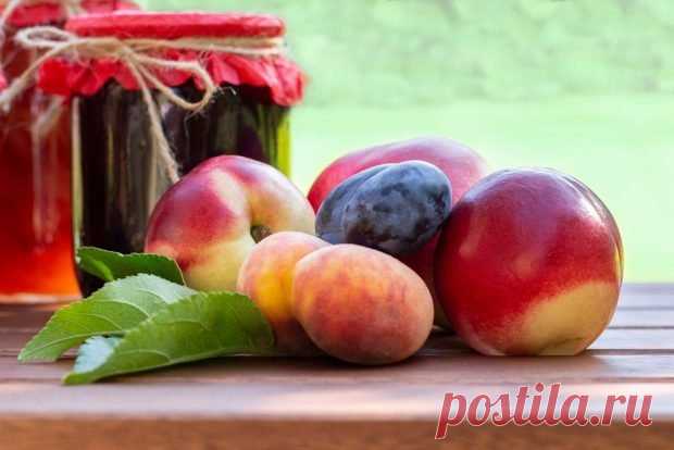 Варенье из нектарина и сливы — Домашняя кулинария