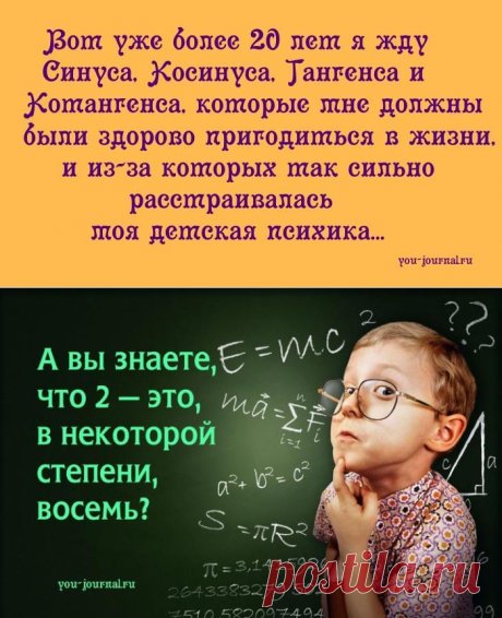 Без математики никуда! Потешные анекдоты о цифрах в нашем мире