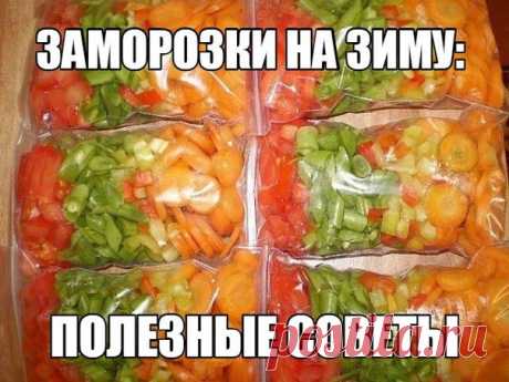 ЗАМОРОЗКИ НА ЗИМУ: ПОЛЕЗНЫЕ СОВЕТЫ 

С появлением на моей кухне такого устройства, как морозилка, которая довольно внушительных размеров, моя семья всю зиму и весну, когда особенно не хватает витаминов, пьет компоты и ест десерты из натуральных ягод. 

Замораживая самые разные продукты, я могу готовить вкусные блюда из овощей и грибов, делать десерты с взбитой клубникой, вареники из черники и еще много других блюд. 
Показать полностью…