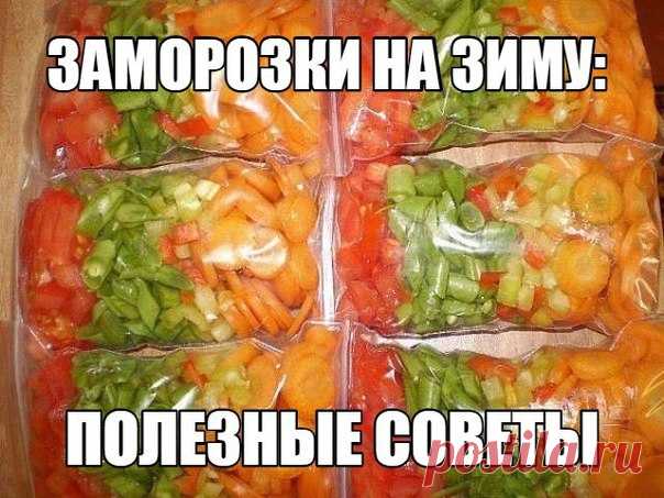 ЗАМОРОЗКИ НА ЗИМУ: ПОЛЕЗНЫЕ СОВЕТЫ 

С появлением на моей кухне такого устройства, как морозилка, которая довольно внушительных размеров, моя семья всю зиму и весну, когда особенно не хватает витаминов, пьет компоты и ест десерты из натуральных ягод. 

Замораживая самые разные продукты, я могу готовить вкусные блюда из овощей и грибов, делать десерты с взбитой клубникой, вареники из черники и еще много других блюд. 
Показать полностью…