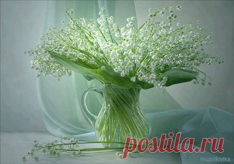 6.gif (500×350)
