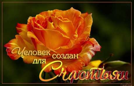 Все самое Интересное и Красивое!! - Группы Мой Мир