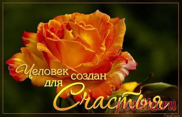 Все самое Интересное и Красивое!! - Группы Мой Мир