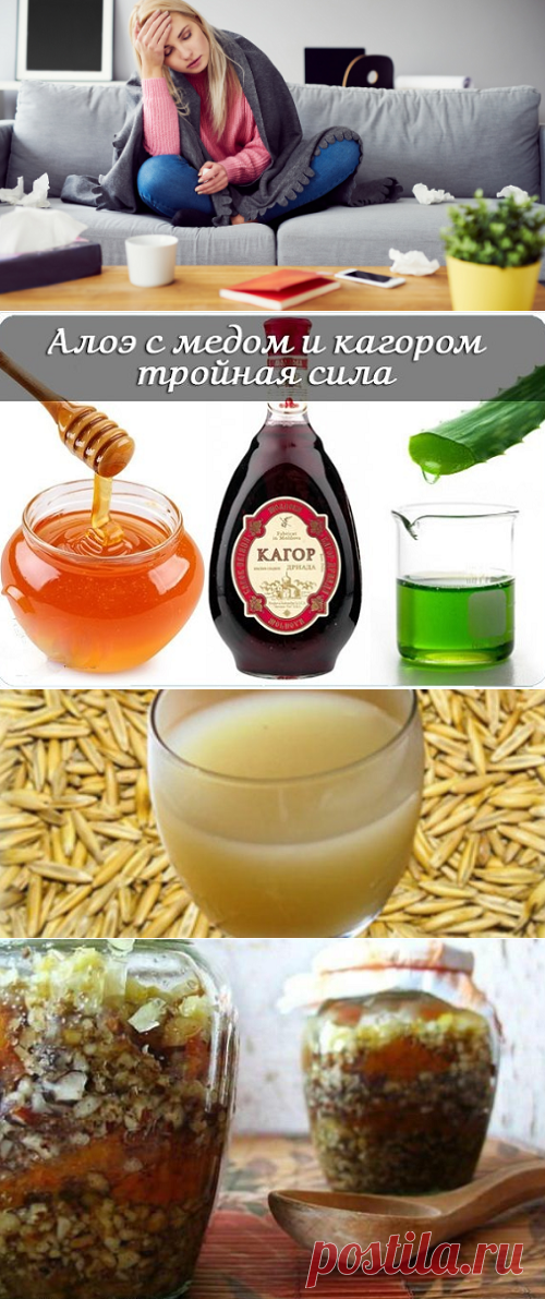 Как победить весенний упадок сил и укрепить иммунитет: 3 натуральных средства в помощь | Кладовая здоровья | Яндекс Дзен