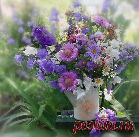 Доброе утро! Летнего настроения! 

#доброе_утро@krasota.zdorovie