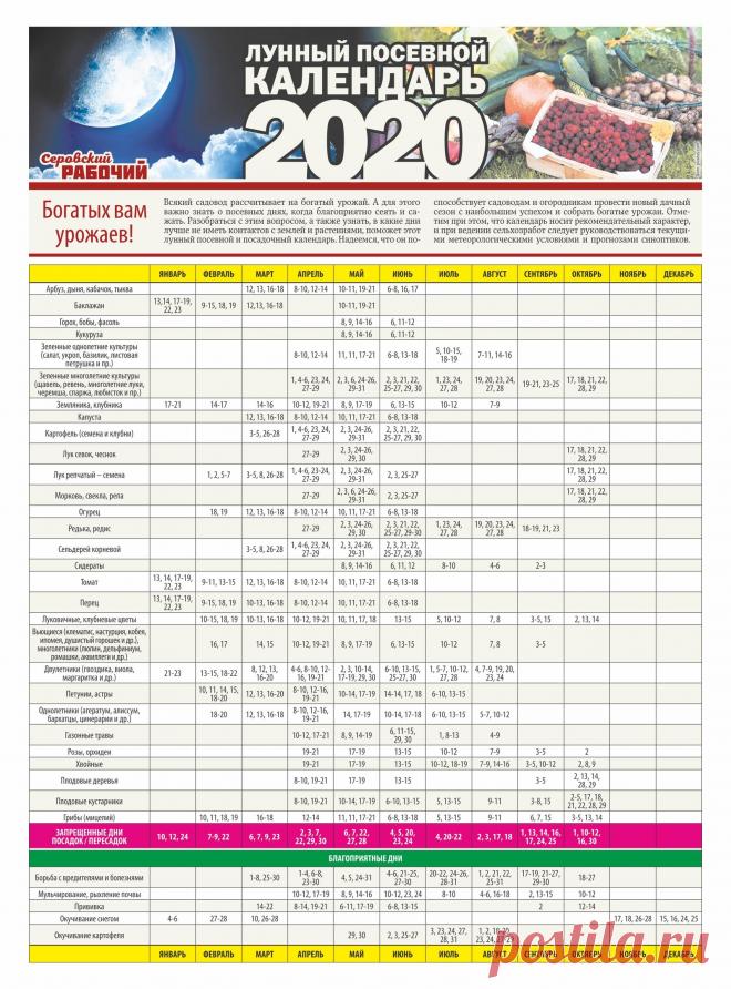 Лунный календарь 2020 садовода-огородника Урала (посевной) | Мамины шпаргалочки