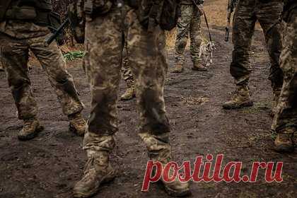 Англичане стали готовить диверсантов из украинских школьников.