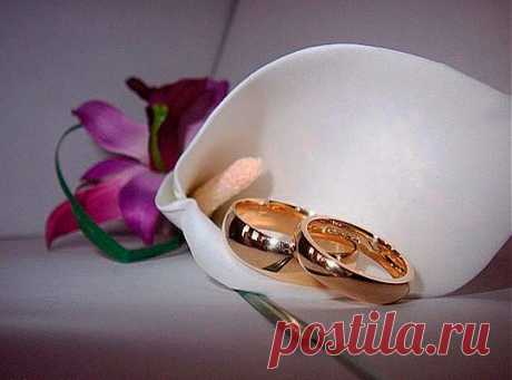 Как называются годовщины свадьбы
Свадебная годовщина является особым днем в жизни каждой супружеской пары. Эта дата всегда переносит людей в день бракосочетания, освежая чувства супругов и наполняя радостью сердца. Большинство семейных пар регулярно отмечают годовщину свадьбы, это является своего рода семейной традицией. Поэтому, чтобы правильно организовать праздник, выбрать подарки для юбиляров, следует знать названия годовщин свадеб.