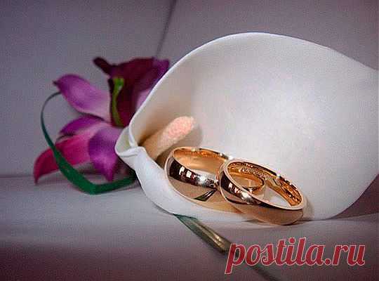 Как называются годовщины свадьбы
Свадебная годовщина является особым днем в жизни каждой супружеской пары. Эта дата всегда переносит людей в день бракосочетания, освежая чувства супругов и наполняя радостью сердца. Большинство семейных пар регулярно отмечают годовщину свадьбы, это является своего рода семейной традицией. Поэтому, чтобы правильно организовать праздник, выбрать подарки для юбиляров, следует знать названия годовщин свадеб.