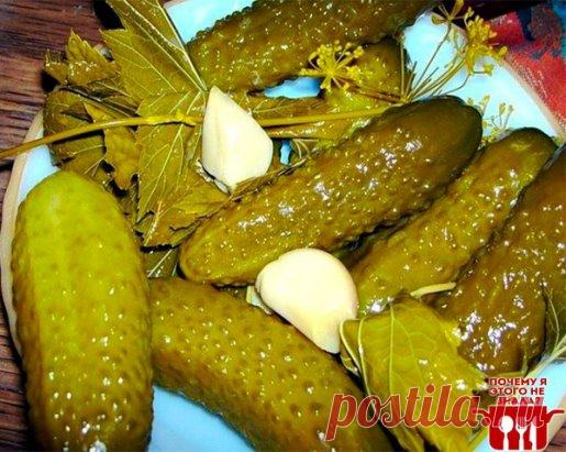 Секретный рецепт обалденных огурцов
Эти маринованные огурчики имеют просто изюмительный вкус, а сам рецепт консервирования огурцов мы называем «пальчики оближешь».
Продукты
Огурцы - 4 кг
Зелень петрушки - 1 пучок
Подсолнечное масло - 1 стакан (200-граммовый)
Столовый уксус 9 % - 1 стакан
Соль - 80 грамм
Сахар - 1 стакан
Черный молотый перец - 1 десертная ложка
Чеснок - 1 головка
Вы хотите порадовать своих домочадцев зимой классными маринованными огурцами? Нет, не теми, что красуются в банках н