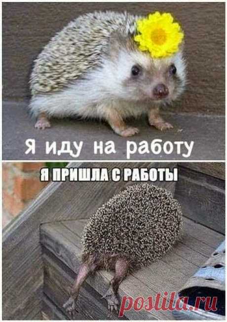 Вот она жизнь...