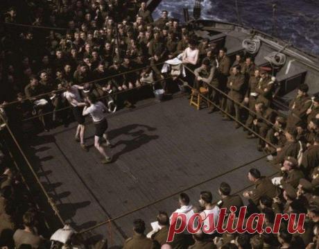 Товарищеский боксерский матч между английскими и советскими моряками. Через мгновение русский матрос Дмитрий Коротич отправит в нокаут английского боцмана Томаса Рейли, май 1945-го.