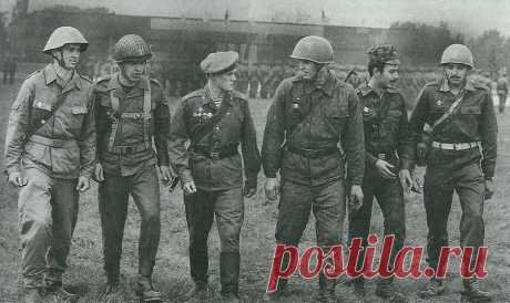 Что нужно знать об Организации Варшавского договора | Русская семерка