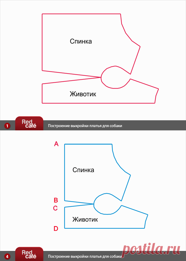 RedCafe | Построение выкройки платья для собаки