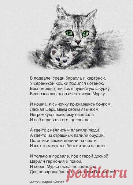 Полезные советы.