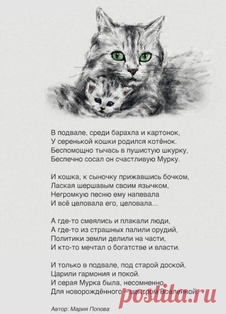Полезные советы.