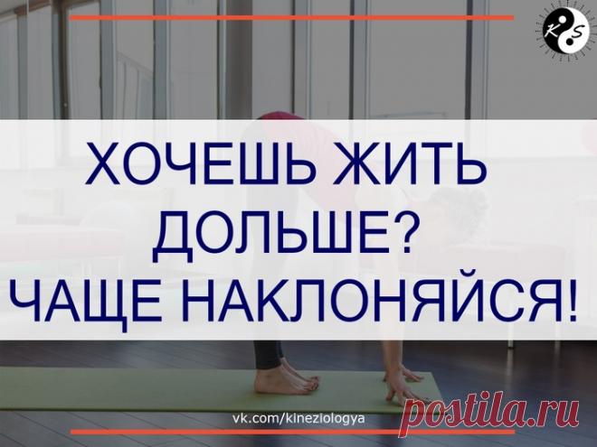 ХОЧЕШЬ ЖИТЬ ДОЛЬШЕ? ЧАЩЕ НАКЛОНЯЙСЯ!