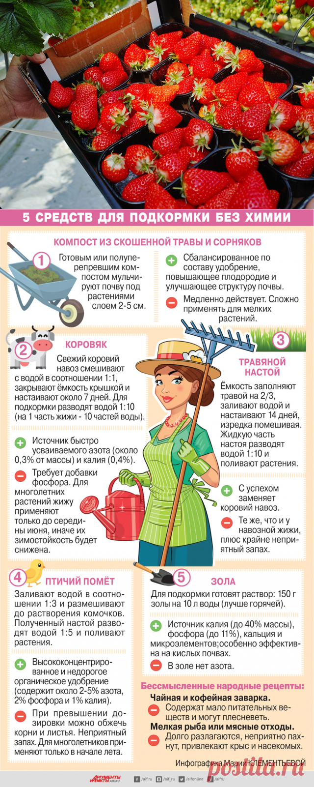 Утроить урожай клубники. Хитрости, которые приведут к рекордам в огороде.