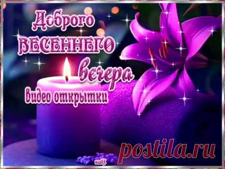 Доброго весеннего вечера. Видео открытки. Скачать * МУЗыкальный подарОК Скачать бесплатно красивые видео открытки с пожеланием доброго весеннего вечера. Мира вашему дому, гармонии вашему сердцу.