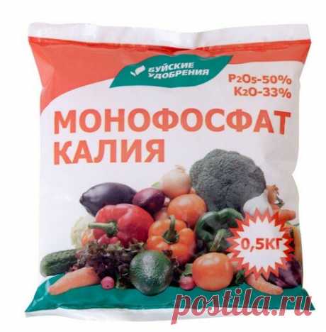 Какую самую важную подкормку я делаю томатам, чтобы вырастить рассаду крепкой, и чтобы она не вытянулась | Уральский Садовод | Яндекс Дзен