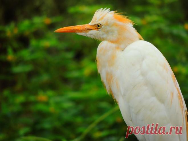 Simply beatiful Photo by Manish Murhekar — National Geographic Your Shot