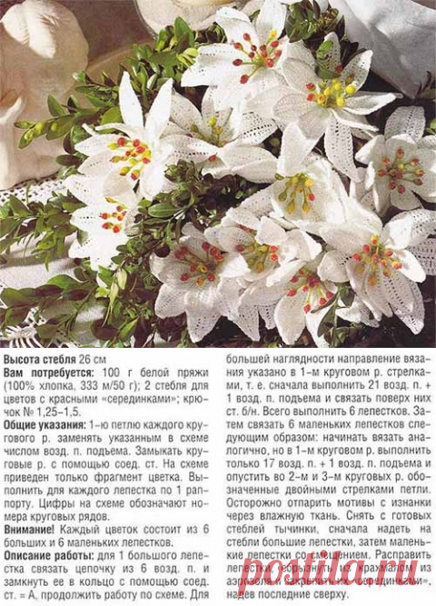 Белые лилии