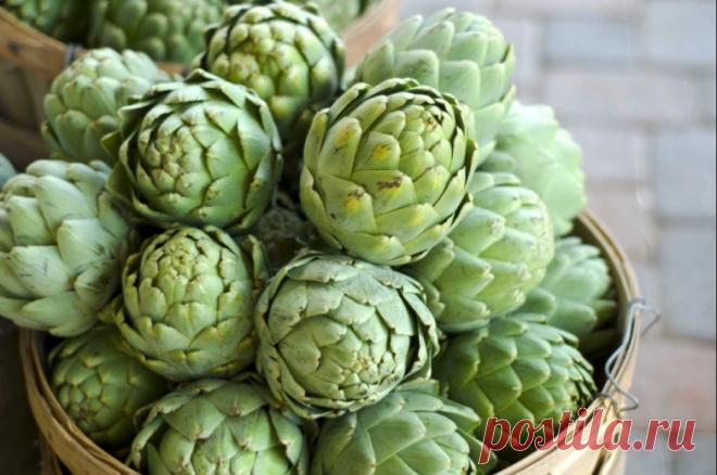 Чем полезен артишок? Артишок, появившийся в России еще при Петре I, давно перестал быть просто диковинкой. За плотными чешуйками скрывается не только тонкий ореховый вкус, но и мощный потенциал для поддержания здоровья. Артишок на самом деле является цветочной почкой родственника чертополоха, его можно варить, запекать, готовить на гриле и даже заваривать как тонизирующий чай. О полезных свойствах растения читайте в справке aif.ru. ...