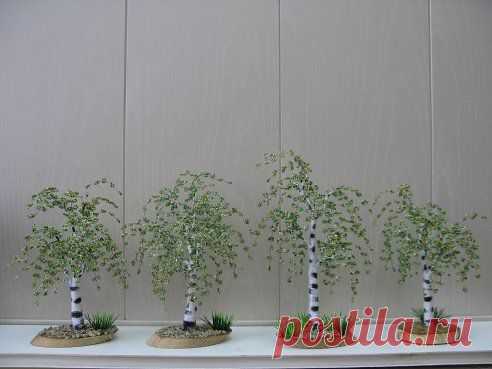 Анна Бурнина(Пушкарь) добавила фотографию в альбом Автор Анна Бурнина(Пушкарь)